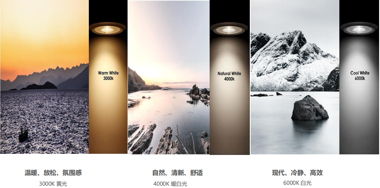 【設(shè)計(jì)案例】普照國康醫(yī)藥辦公室項(xiàng)目概念設(shè)計(jì)——以空間敘事，筑品牌基因(圖26)