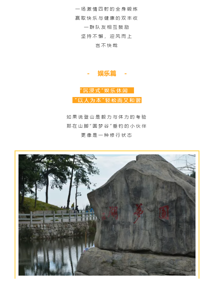 秋天了，來一場成年人的秋游吧(圖4)